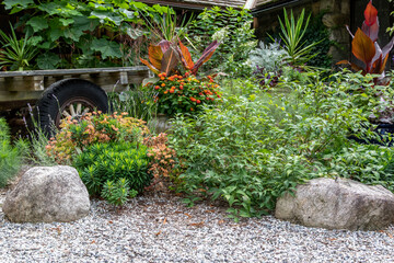 Annual plants are arranged between rocks in a rustic garden.