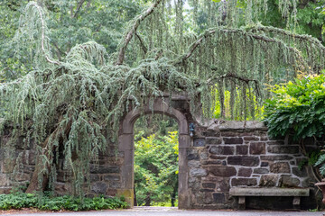Stone archway is covered in graceful draping evergreen tree and lush foliage.