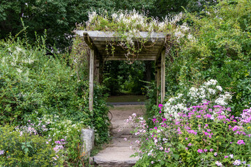 Flowers drape over and surround an old wooden pergola in the garden. - obrazy, fototapety, plakaty