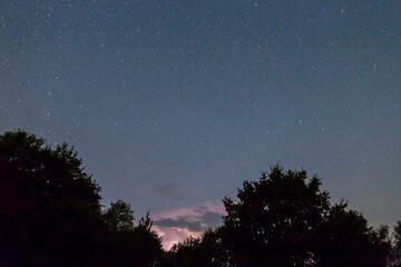 Obraz na płótnie Canvas night starry sky above forest silhouette, night outdoor background