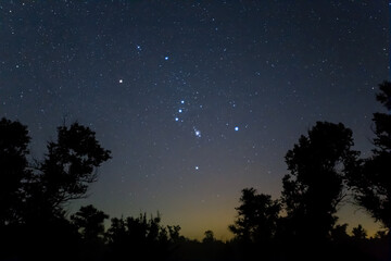 closeup Orion constellation on night starry sky above forest silhouette, night natural landscape