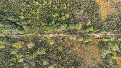 Moorlandschaft von oben