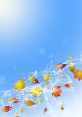 Obraz na płótnie Canvas autumn fall season background