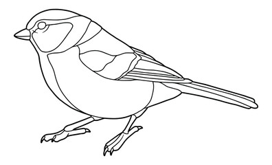 Tit. Small bird. Coloring page. Black outline. 