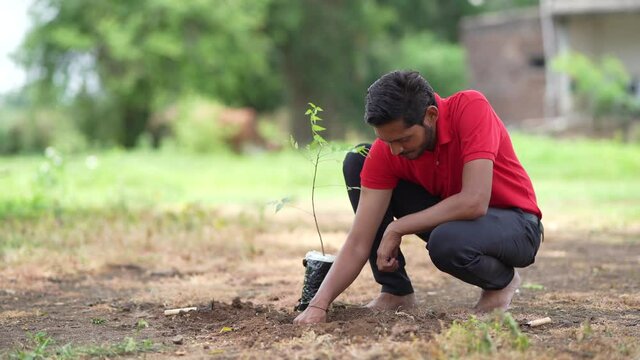 Young man doing tree plantation at field