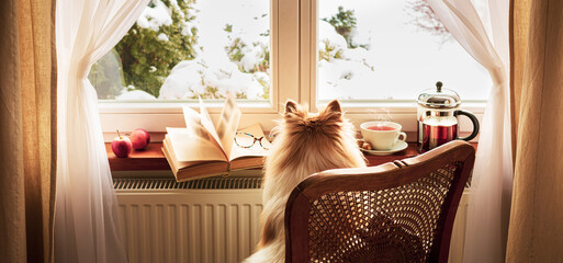 Winter - cozy country home interior. Dog looking at the snow out the window.