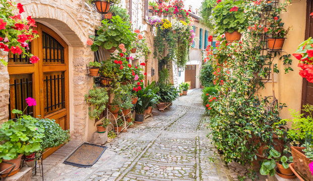 Flowers in ancient street located in Spello village. Umbria Region, Italy.