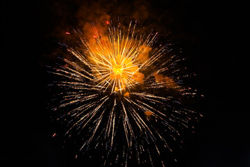 Beautiful bright firework lighting up night sky