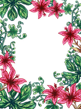 Watercolor Flower Set, Hand Drawn Illustration Of Lilies ,Pink And Green Floral Leaves Arrangement Ornament Border Frame Isolated On White