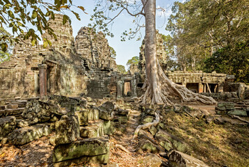 ruins of Ta Prohm temple with big tree trunk in Angkor Wat, Cambodia 	
