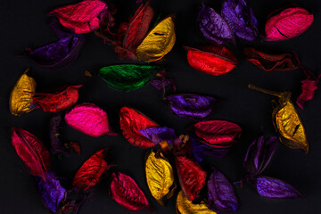 Multi-colored dry petals on a black background.