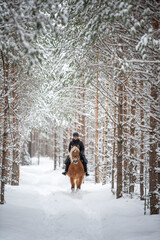 Woman horseback riding in winter in forest