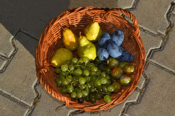 Szolnok Hungary is a beautiful basket of autumn fruits