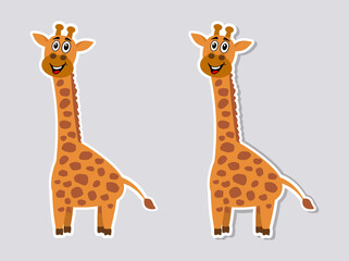 Beautiful and cute smiling giraffe on profile for sticker on gray background 
