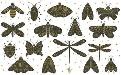 Mystical boho moth butterfly dragonfly hand drawn insects. Magical witchcraft dragonfly, butterfly, beetles and moth vector illustration set. Witchcraft mystical wild insects © WinWin