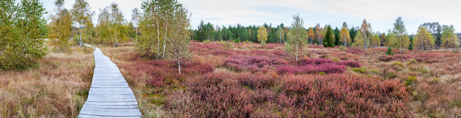 Tarnawa peat bog reserve, Bieszczady Mountains