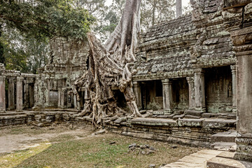 Fototapeta premium old ruins of Preah Khan temple in Angkor Wat, Cambodia 