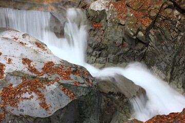 紅葉の西沢渓谷。ｙ真名試験笛吹川支流の秋の風景。急峻な岩場を流れる青く澄んだ水 - obrazy, fototapety, plakaty