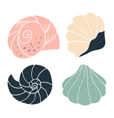 Set of hand drawn seashell. Isolated on white. Vector illustration. Element of design. Doodle style.