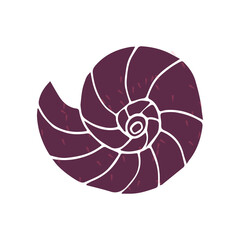 Hand drawn seashell. Isolated on white. Vector illustration. Element of design. Doodle style