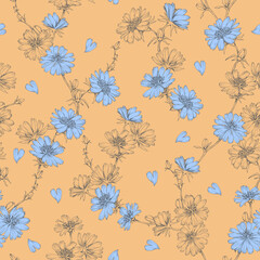 Chicory seamless floral pattern. Leaves. Natural background. Meadow flowers. Herbal theme. Botanical illustration.