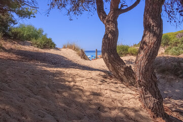 The most beautiful beaches of Italy: Punta Prosciutto in Apulia. The coastline is a corner of paradise in the heart of Salento. At the top of the dunes up to 10-12 metres high appear junipers.