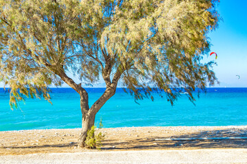 Kremasti beach Rhodes Greece turquoise water and park trees.
