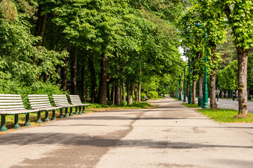 Fototapeta na wymiar Walkway in the Forest Park, Riga (Mežaparks) at summer. Low angle photo of alley in the park lined with high green trees, romantic lampposts, benches and lawn.