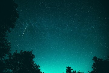 Starry Sky