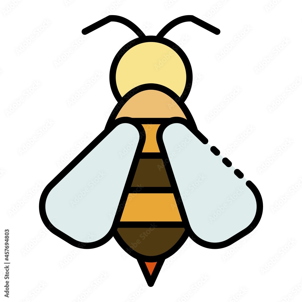 Poster wasp insect icon. outline wasp insect vector icon color flat isolated