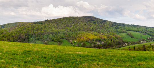 Obraz premium A view of the non-existent villages of Tyskowa and Radziejowa, the Bieszczady Mountains
