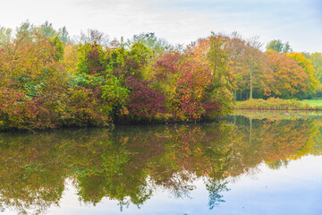 Autumn landscape. Colorful trees near water