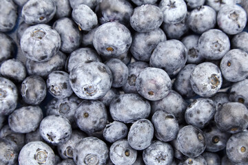 Fresh blueberry as food background