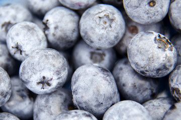 Fresh blueberry as food background