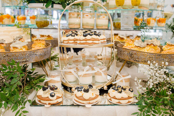 Candy Bar. Delicious wedding buffet with cupcakes. Sweet buffet with cupcakes and other desserts.