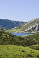 Fototapeta na wymiar Foto de los lagos de Covadonga en Asturias
