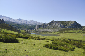 Fototapeta na wymiar Foto de los lagos de Covadonga, Asturias