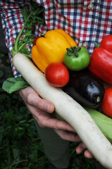 Farmer man holding fresh raw vegetables in his hands. Red, yellow pepper. Red, green tomato, pumpkin, cucumber, eggplant, radish. Biological concept, bio products, bioecology, self-grown, vegetarians