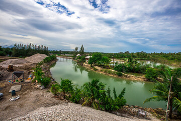 Obraz premium Natural background of coconut trees planted by the river, providing shade and edible fruit.