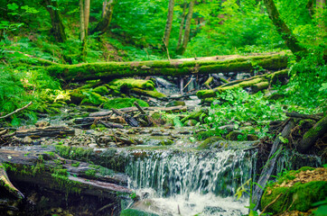 Fototapeta premium Magic waterfall in the forest.