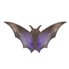 Watercolor illustration hand painted flying black bat wih spread wings for Halloween isolated on white. Animal clip art element for design making postcards, posters, packaging paper, fabric material