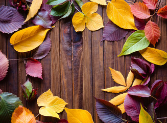 Fototapeta na wymiar Autumn background, red, yellow, green leaves on a wooden brown background 
