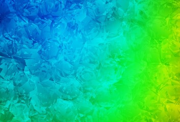 Fototapeta na wymiar Light Blue, Green vector natural backdrop with roses, flowers.