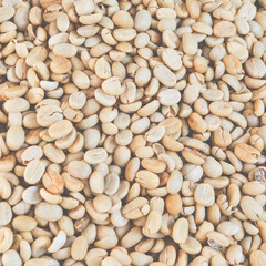 Top view of dry organic raw coffee bean ready for roasted in soft light tone