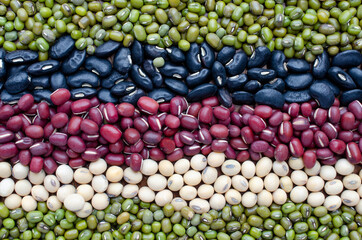 Dry organic cereal and grain seed stripe background consisted of mung bean, black and red bean and soybean seed