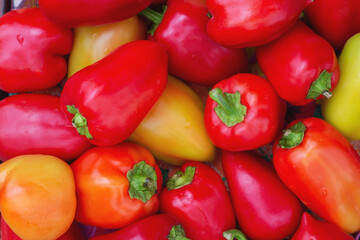 Colored bell peppers on the counter in the supermarket. A lot of peppers in a heap. Natural background.