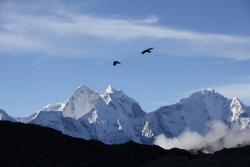 Fototapeta na wymiar birds over the mountains (Himalayas)