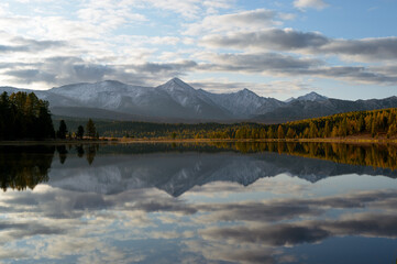 Amazing Altai nature landscape of calm Kidelu lake at sunrise surrounded by colorful sunny autumn forest and mountain ice peaks of Siberia, trees grow on shore and morning cloudy sky. Altai, Siberia.