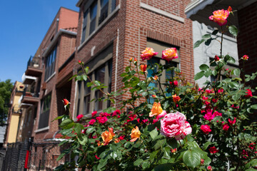 Fototapety na wymiar - Fototapeta24.pl