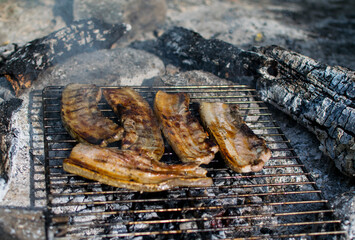 Ham, grilled pork in nature, on the grill. Barbecue in nature, on the river bank.